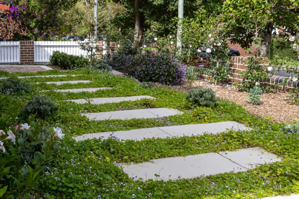 Professional landscaping services in Sydney's northwest