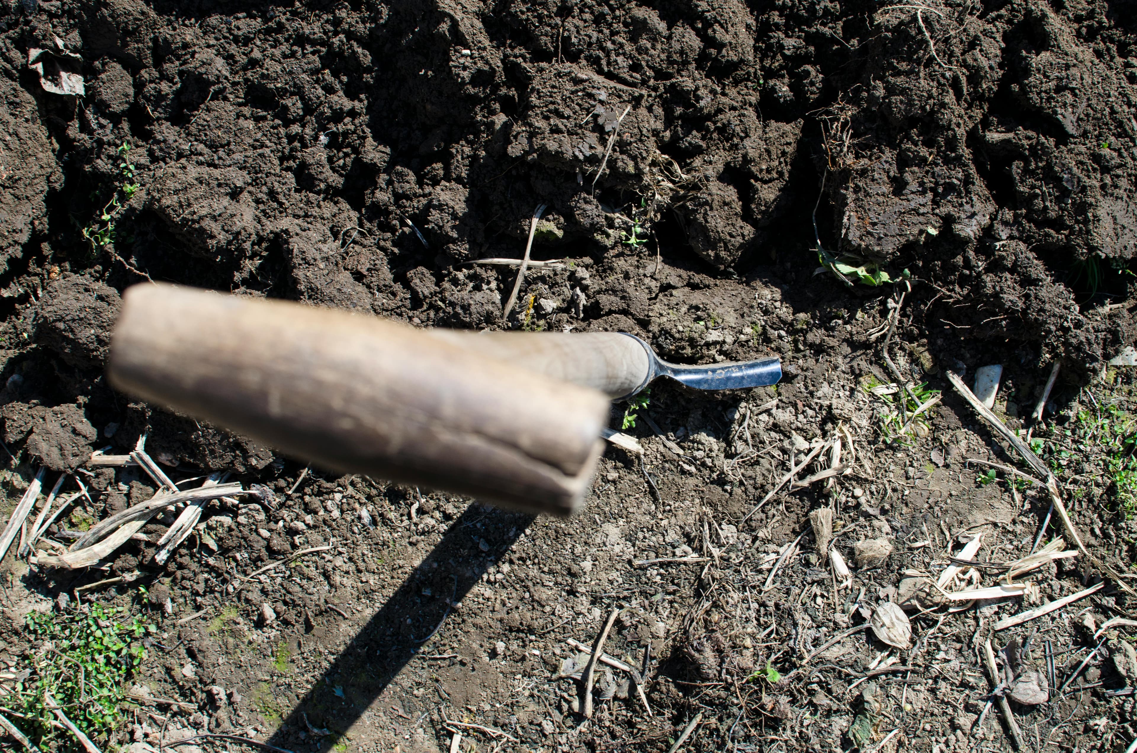Irrigation system in field